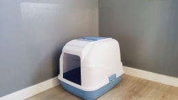 PetWALL transparent wall protection mat, 40 x 120 cm