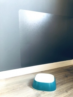 PetWALL transparent wall protection mat, 60 x 300 cm