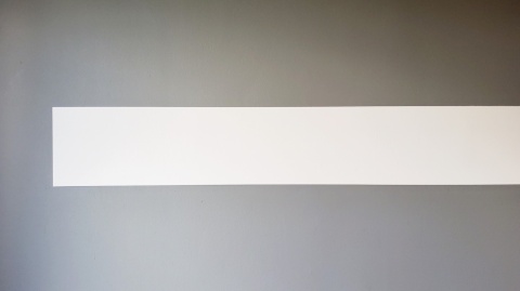 Odbojnica ścienna dekoracyjna WALLex 30x300cm WH